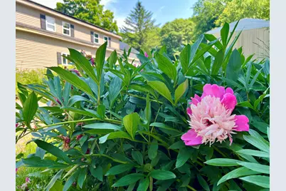127 Swan Lake Avenue, Belfast, ME 04915 - Photo 4