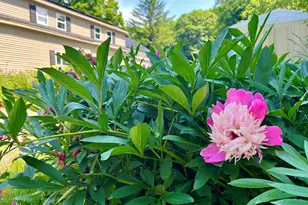 127 Swan Lake Ave, Belfast, ME 04915 - Photo 4