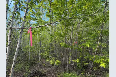 Lot 41-1 Bottle Lake Road, Lakeville, ME 04487 - Photo 22