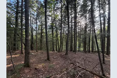 Lot 41-1 Bottle Lake Road, Lakeville, ME 04487 - Photo 4