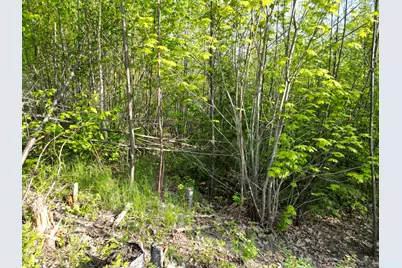 Lot 41-1 Bottle Lake Road, Lakeville, ME 04487 - Photo 10