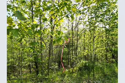 Lot 41-1 Bottle Lake Road, Lakeville, ME 04487 - Photo 2
