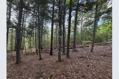 Lot 41-1 Bottle Lake Road, Lakeville, ME 04487 - Photo 6