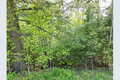 Lot 41-1 Bottle Lake Road, Lakeville, ME 04487 - Photo 12
