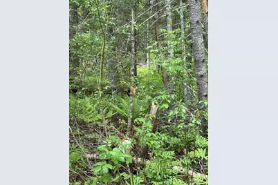 Tbd Fitz Road #001-018, Kenduskeag, ME 04450 - Photo 6