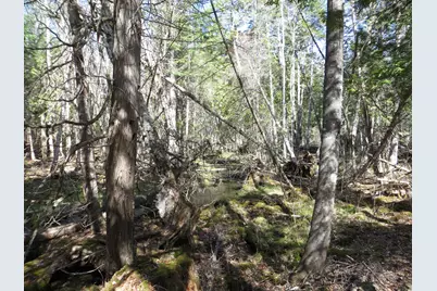 Tbd Fitz Road #001-018, Kenduskeag, ME 04450 - Photo 2