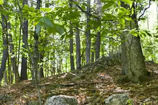 263 Number Six Rd, Oxford, ME 04281 - Photo 36