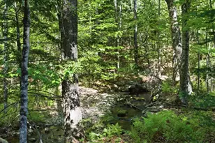 263 Number Six Rd, Oxford, ME 04281 - Photo 22