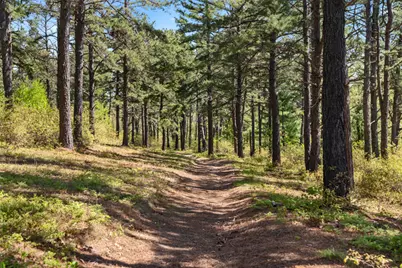 78 Northeast Road, Waterboro, ME 04087 - Photo 26