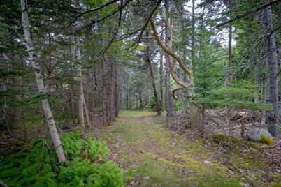 163 Back Road, Brooklin, ME 04616 - Photo 70
