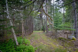 163 Back Rd, Brooklin, ME 04616 - Photo 70