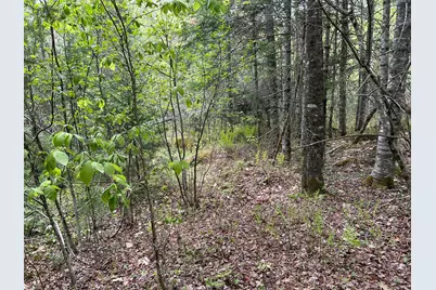 M1L15A Eastbrook Road, Eastbrook, ME 04634 - Photo 18