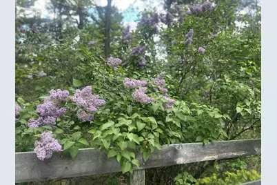 282 Granny Kent Pond Road, Shapleigh, ME 04076 - Photo 60