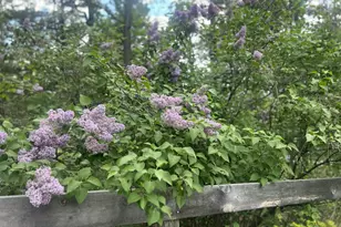 282 Granny Kent Pond Rd, Shapleigh, ME 04076 - Photo 60