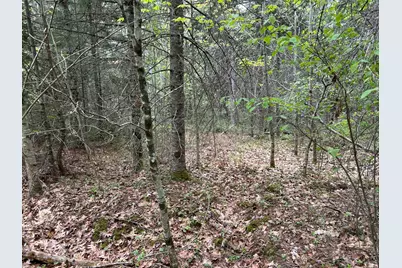 M1L15B Eastbrook Road, Eastbrook, ME 04634 - Photo 32