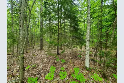 77 South Princeton Road, Alexander, ME 04694 - Photo 22