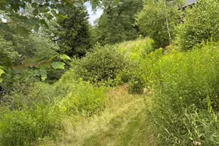 1168 Maine 232 Rte, Milton, ME 04219 - Photo 44