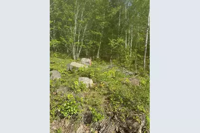 Lot 4 Unionville Road, Steuben, ME 04680 - Photo 2