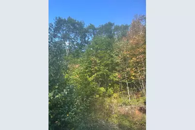 Lot 4 Unionville Road, Steuben, ME 04680 - Photo 2