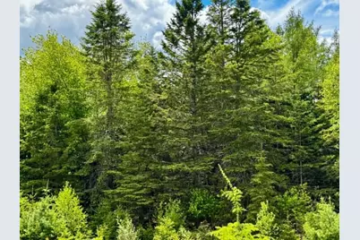 Lot 1 & 2B Elm Street, Machias, ME 04654 - Photo 6