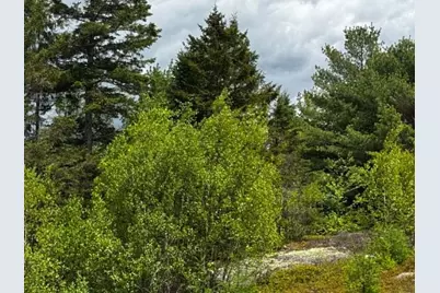 Lot 1 & 2B Elm Street, Machias, ME 04654 - Photo 2