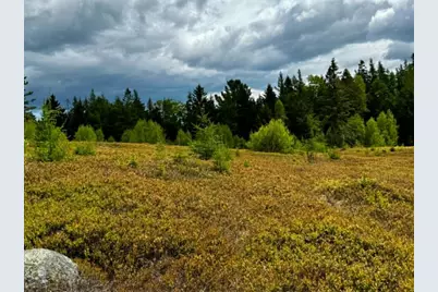 Lot 1 & 2B Elm Street, Machias, ME 04654 - Photo 4
