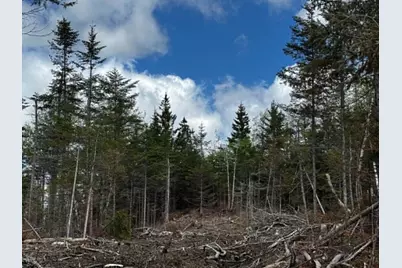 Lot 49 Port Road, Machiasport, ME 04655 - Photo 6