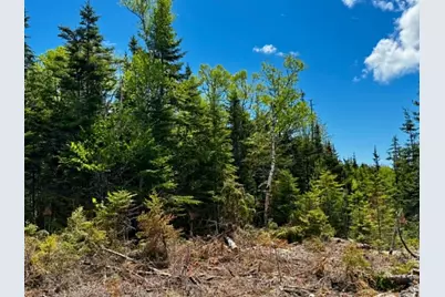 Lot 49 Port Road, Machiasport, ME 04655 - Photo 2