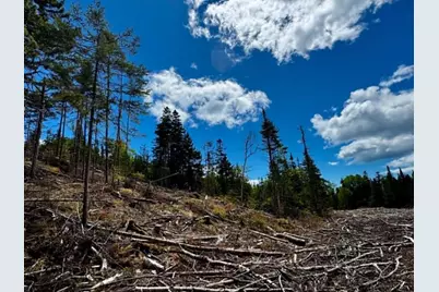 Lot 49 Port Road, Machiasport, ME 04655 - Photo 8