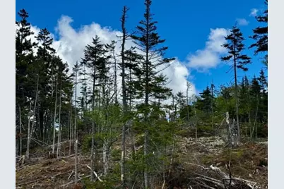 Lot 49 Port Road, Machiasport, ME 04655 - Photo 10