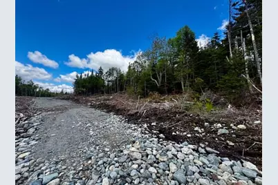 Lot 49 Port Road, Machiasport, ME 04655 - Photo 12