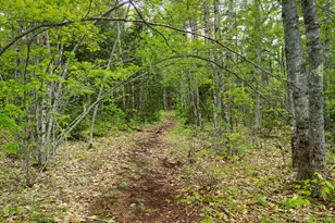 479 Niilo Hill Rd, Warren, ME 04864 - Photo 52