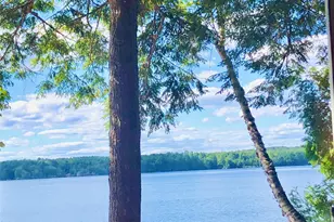 161 Small Shore Trail, Oakland, ME 04963 - Photo 18