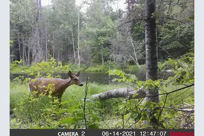 Lot 5 Stream Road, Vienna, ME 04360 - Photo 20