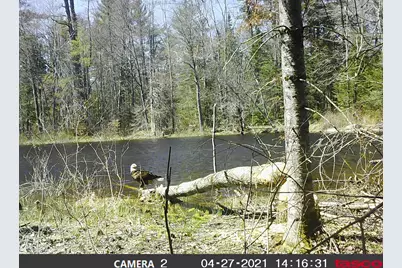 Lot 5 Stream Road, Vienna, ME 04360 - Photo 18