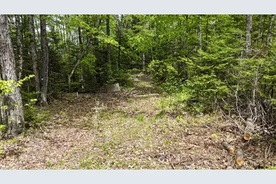 Lot 5 Stream Road, Vienna, ME 04360 - Photo 8
