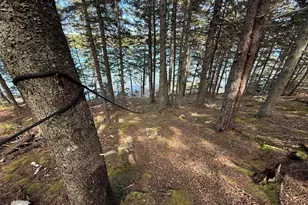170 Harbor Rd, Swans Island, ME 04685 - Photo 86