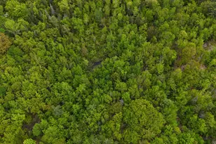 1816 Dexter Rd, Dover Foxcroft, ME 04426 - Photo 68