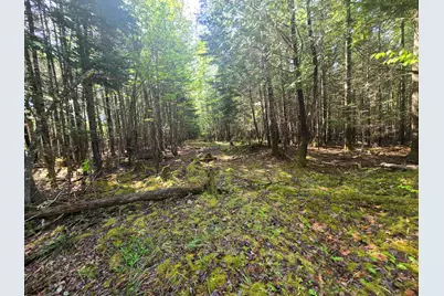 # Private Rd Off Merriman Road, Island Falls, ME 04747 - Photo 14