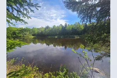 # Private Rd Off Merriman Road, Island Falls, ME 04747 - Photo 12