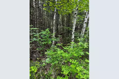 Lot 9-3 Lilly Drive, Newport, ME 04953 - Photo 2
