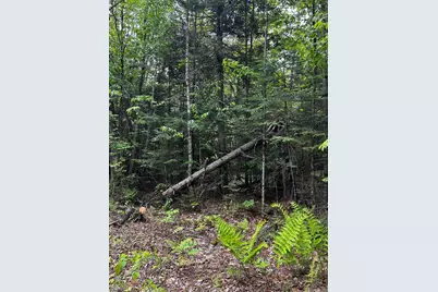 Lot 9-4 Lilly Drive, Newport, ME 04953 - Photo 4