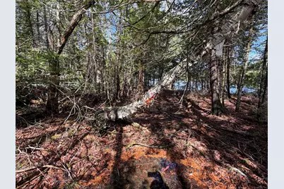 [Address not provided], Sangerville, ME 04479 - Photo 10