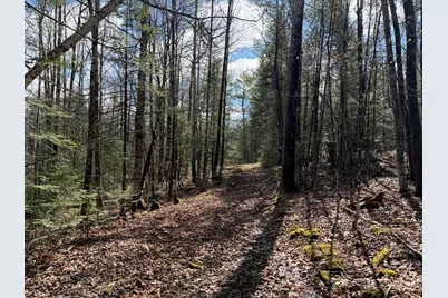 [Address not provided], Sangerville, ME 04479 - Photo 20