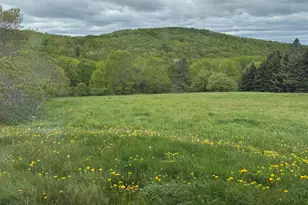 30 Moosehead Trail, Dixmont, ME 04932 - Photo 8