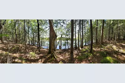 Lot 7 Heath Road, Mariaville, ME 04605 - Photo 32