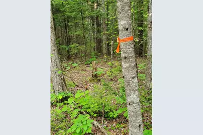 Lot 7 Heath Road, Mariaville, ME 04605 - Photo 22
