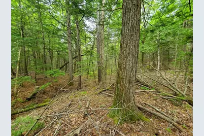 Lot 7 Heath Road, Mariaville, ME 04605 - Photo 8