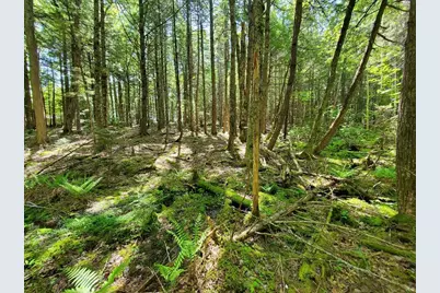 Lot 7 Heath Road, Mariaville, ME 04605 - Photo 20