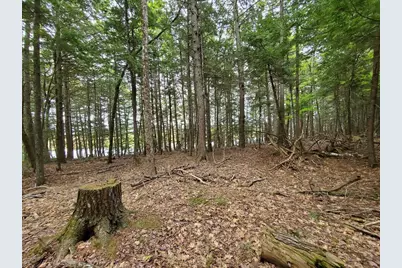 Lot 7 Heath Road, Mariaville, ME 04605 - Photo 14
